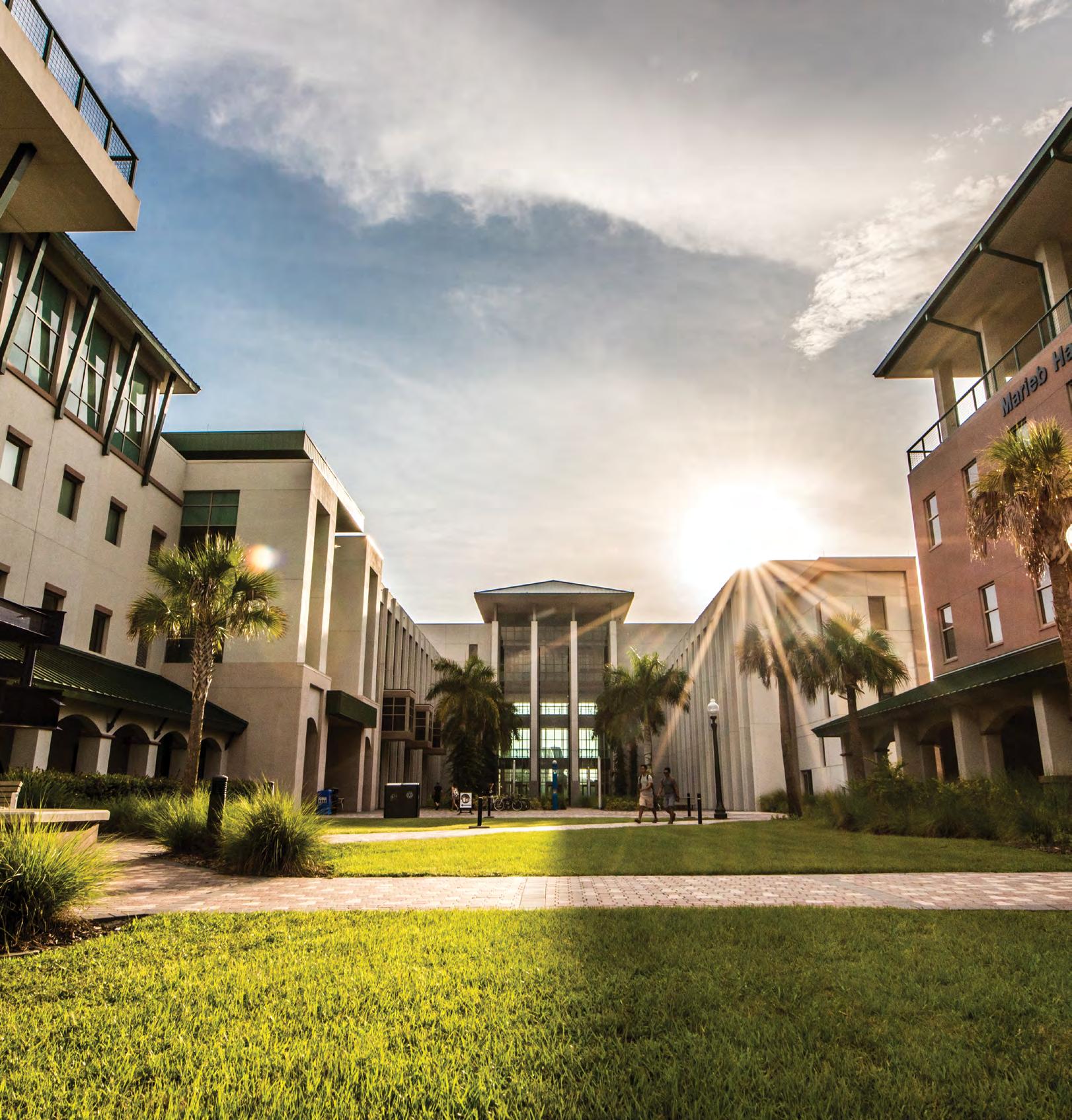 FGCU International Admissions Brochure by Florida Gulf Coast University -  Issuu