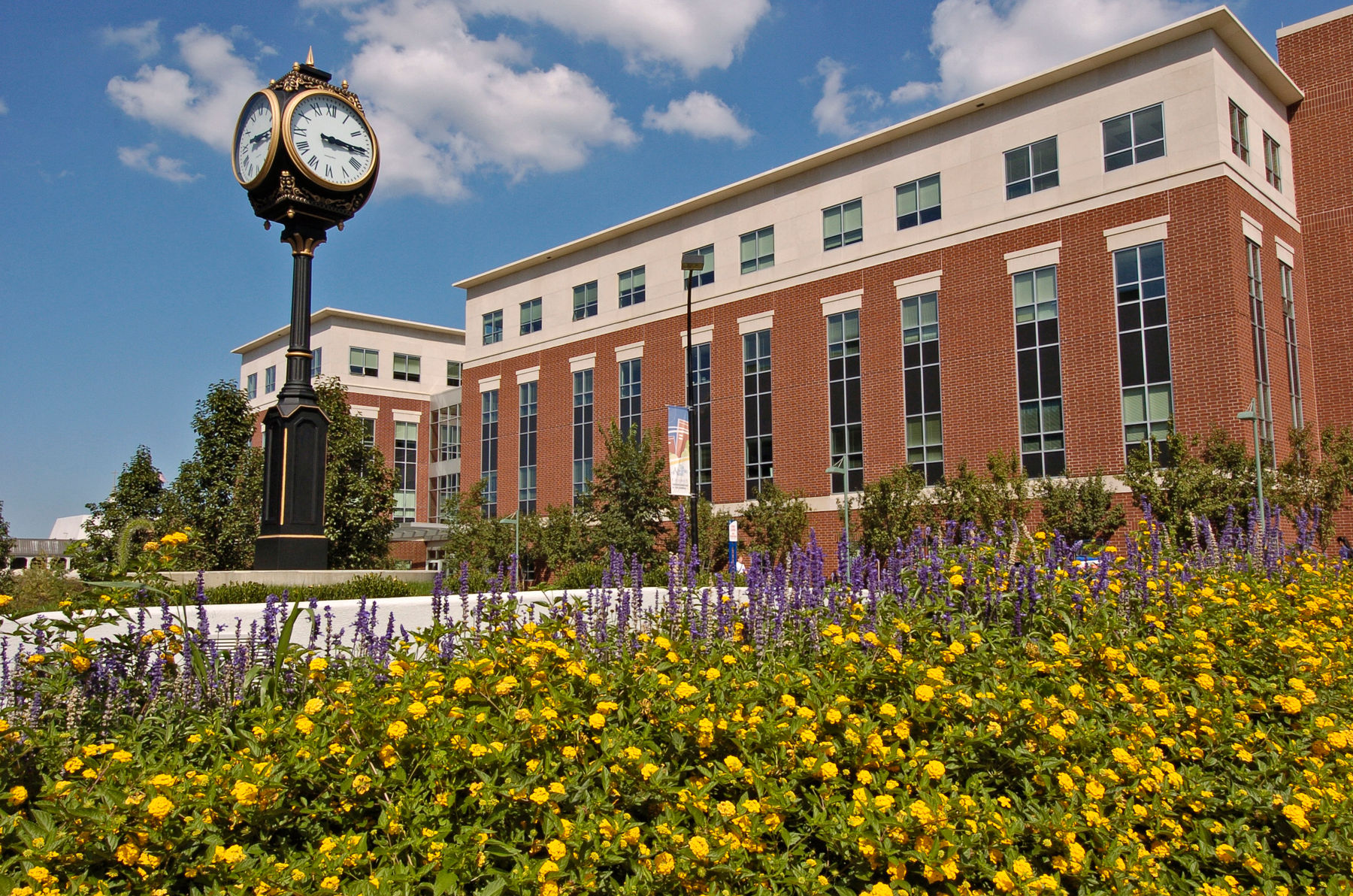 The University of Akron | Downtown Akron Partnership | Akron, OH