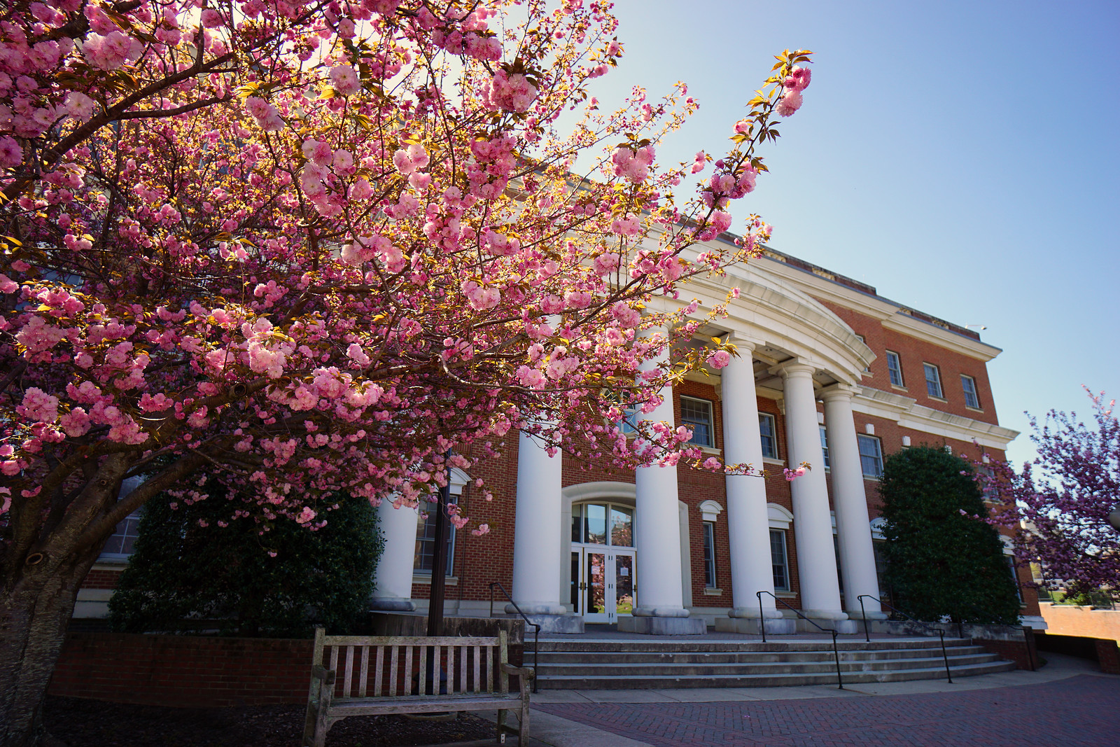 Admissions - Admissions